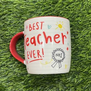 Best Teacher Ever Mug
