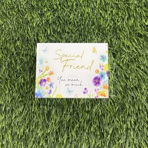 Special Friend Trinket Box