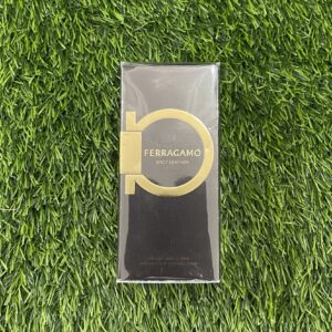 Ferragamo Spicy Leather - Male