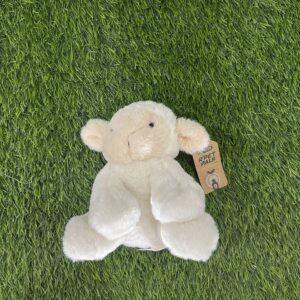 Pet Pal Teddy Bear