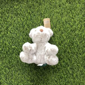 R Pet Pals Teddy