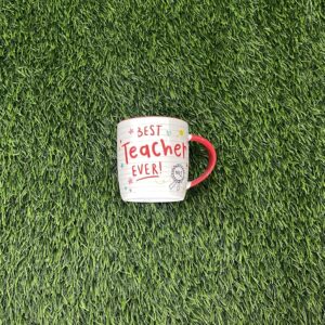Best Teacher Ever Mug