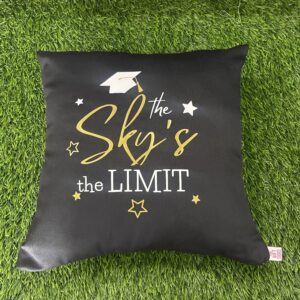 Sky's The Limit Pillow
