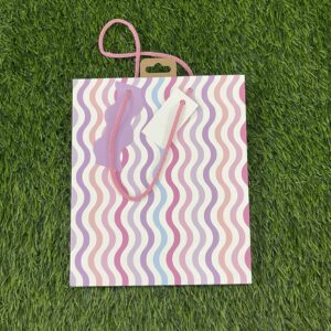 Spiral Medium Gift Bag