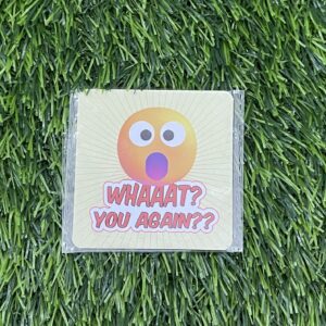 Whaaat? You Again Magnet