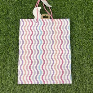 Spiral Large Gift Bag