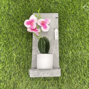 Aromatherapy Potted Pink Orchid