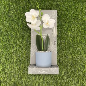 Aromatherapy Potted White Orchid Flower Diffuser